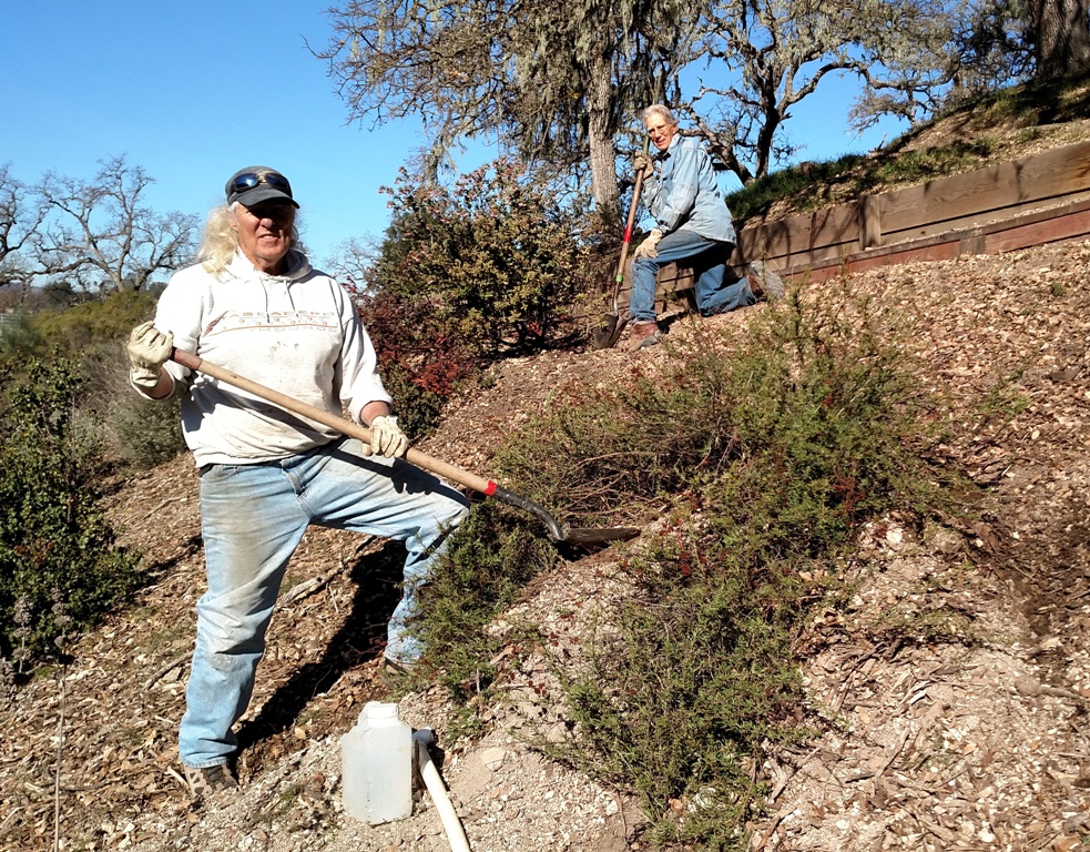 Dave and John filling in squirrel holes!